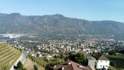 DSC_0090.JPG