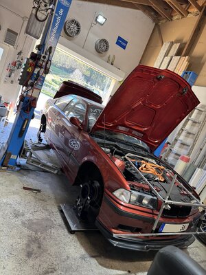 IMG_2809.jpeg